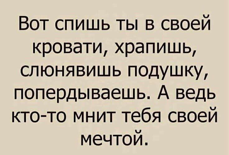 Вот спишь ты в своей кровати храпишь слюнявишь подушку попердываешь А ведь кто то мнит тебя своей мечтой