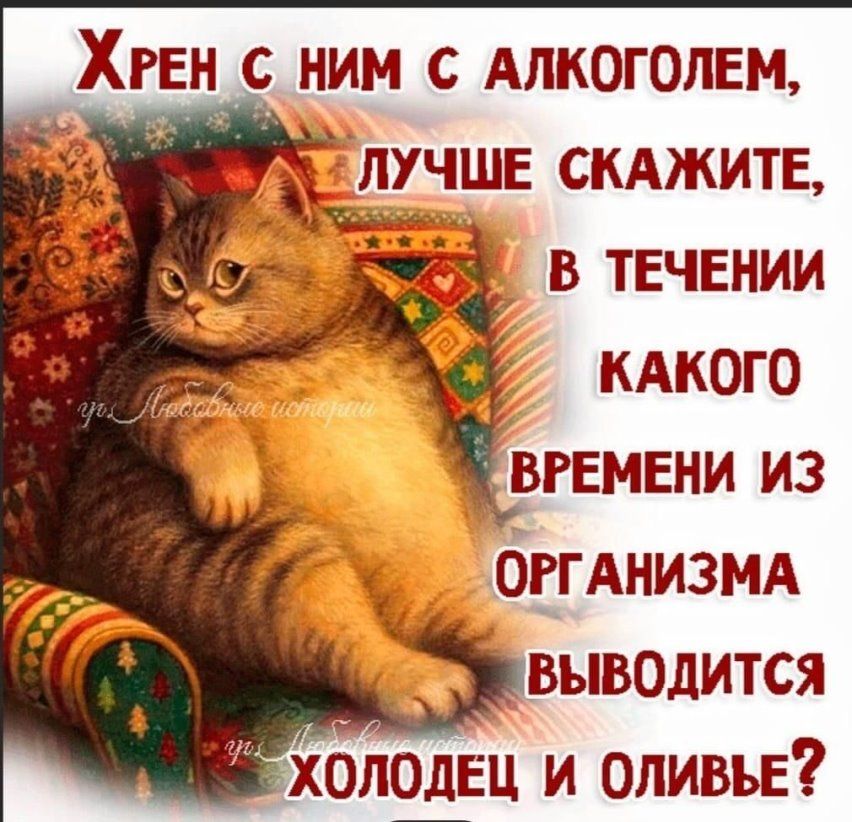 ХРЕН ним с Алкогопш пучшв скджитв В ТЕЧЕНИИ кАкого ВРЕМЕНИ из ОРГАНИЗМА _ выводится холодец и оливьв