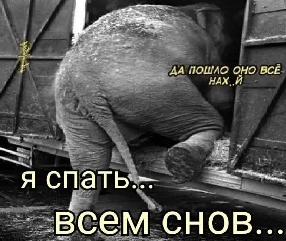 5 ПОШЛО ОНОВСЁ в НАХ ЙС