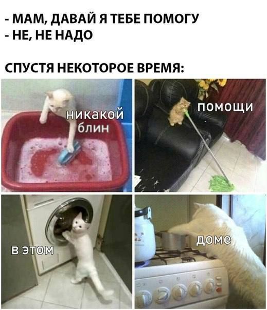 МАМ дАВАЙ Я ТЕБЕ ПОМОГУ НЕ НЕ НАДО СПУСТЯ НЕКОТОРОЕ ВРЕМЯ _ адомощи