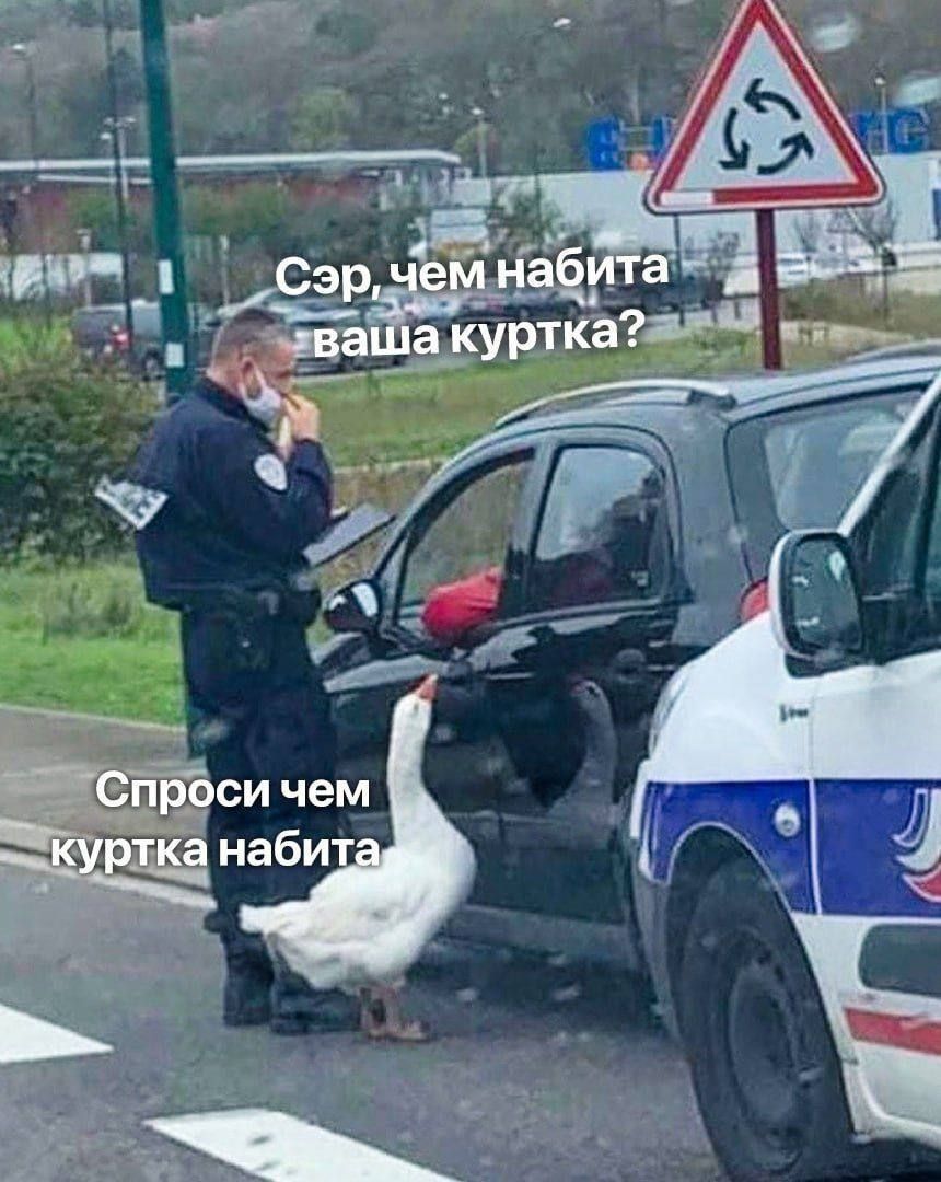 чЁ Сз на ЁАЁЁ а куртка лат