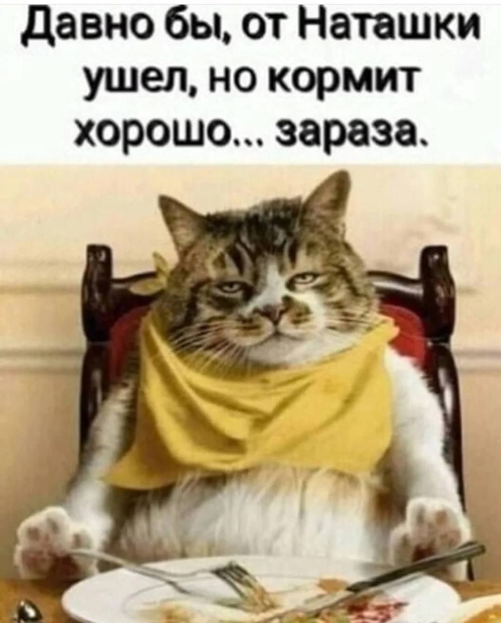 давно бы от Наташки ушел но кормит хорошо зараза