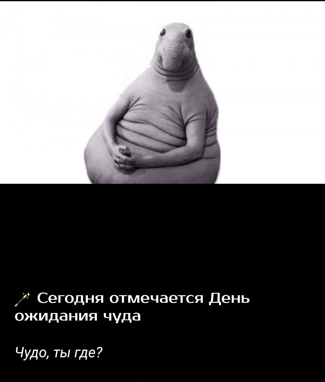 Сегодня отмечается день ожидания чуда Чудо ты где