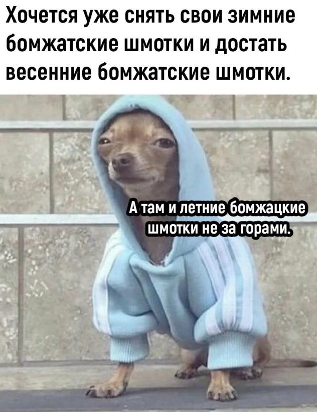 ХОЧЕТСЯ уже СНЯТЬ СВОИ зимние бОМЖЗТСКИЕ ШМОТКИ И достать весенние бОМЖЗТСКИВ ШМОТКИ