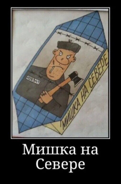 Мишка на Севере