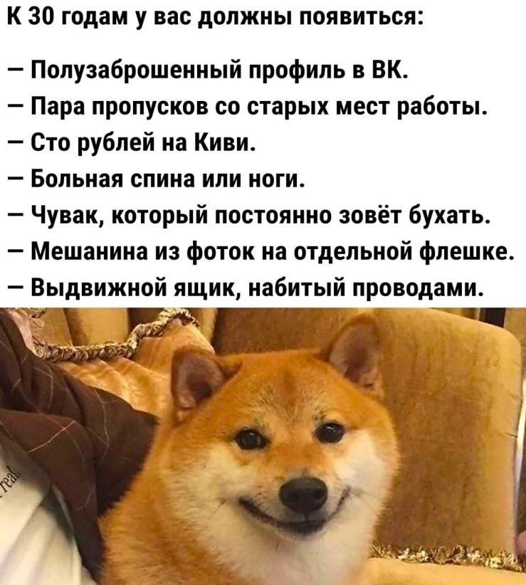 К 30 годам у вас должны появиться Полузабрсшениый профиль в БК Пара пропусков со старых мест работы Сто рублей на Киви Больная спина или ноги Чувак который постоянно зовёт бухать Мешанниа и фоток на отдельной флешке Выдвижной ящик набитый проводами 7