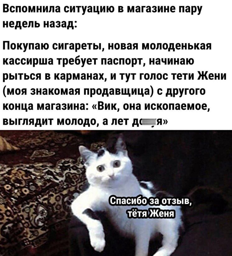 Вспомнила ситуацию в магазине пару недель назад Покупаю сигареты новая молоденькая кассирша требует паспорт начинаю рыться в карманах и тут голос тети Жени моя знакомая продавщица другого конца магазина Вик она ископаемое ВЫГЛЯДИТ молодо 3 ЛЕТ дсп