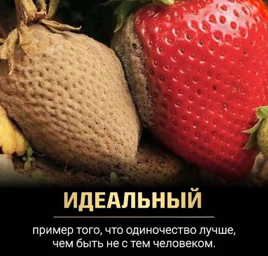ИДЕАЛЬНЫЙ пример того что одиночество ЛУЧШЕ чем бЫТЬ не с ТЕМ ЧЕЛОВЕКОМ