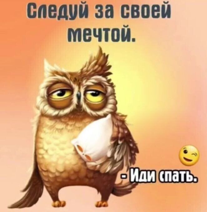 виндой за своей мечтой