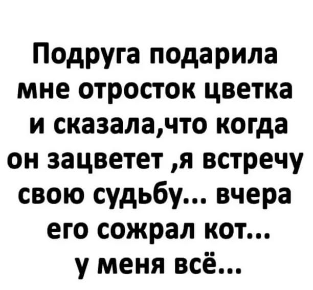 Подруга подарила мне отросток цветка и сказалачто когда он зацветет я встречу свою судьбу вчера его сожрал кот у меня всё