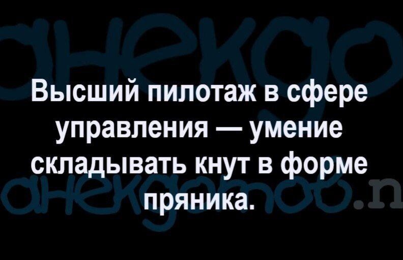 Высший пилотаж в сфере управления умение складывать кнут в форме пряника