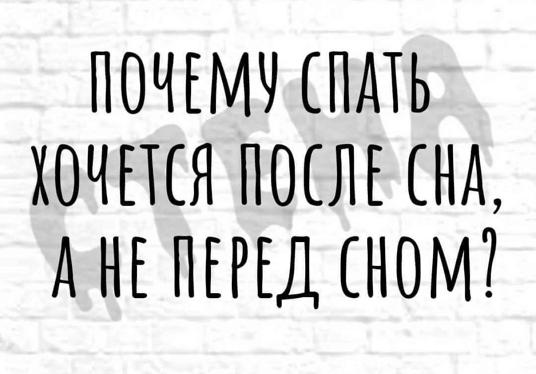 ПОЧЕМУ СПАТЬ ХОЧЕТСЯ ПОСЛЕ СНА А НЕ ПЕРЕД НОМ