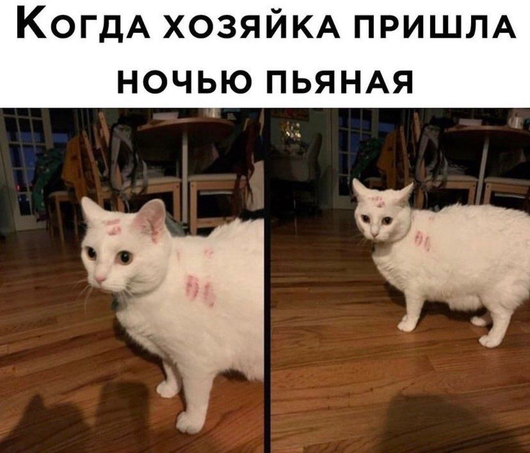 ГДА ХОЗЯЙКА ПРИШЛА НОЧЬЮ ПЬЯНАЯ