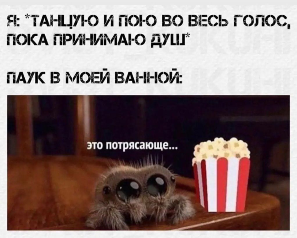 Я ТА ЦУ 0 И ПО 0 ВО ВЕСЬ Г ОПОС ПОКА ПРИНИМАЮ дУПГ пмк в моей вднной вю приедете