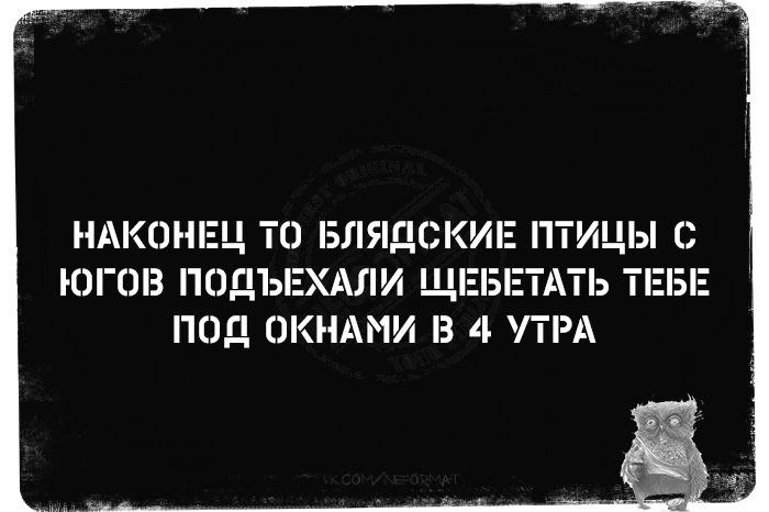 НАКОНЕЦ ТО БЛЯДСКИі ПТИЦЫ ЮГШЗ ГЮДЪЕХАЛИ ЩЕ ПОД ЖНАМИ В 4