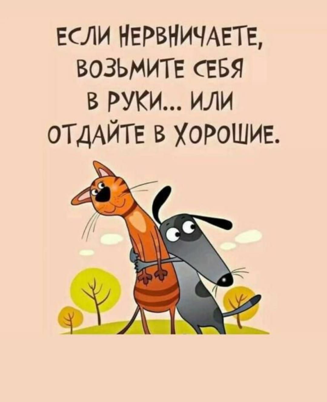 если НЕРВНИЧАЕТЕ возьмите СЕБЯ в РУКИ или от ДАЙТЕ в Хорошие