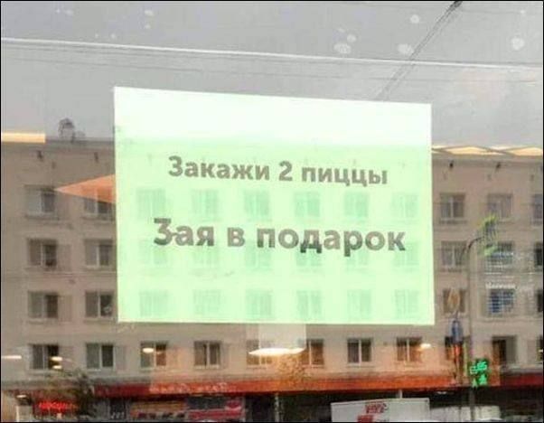 Звиажи 2 пиццы Зая в пид рем