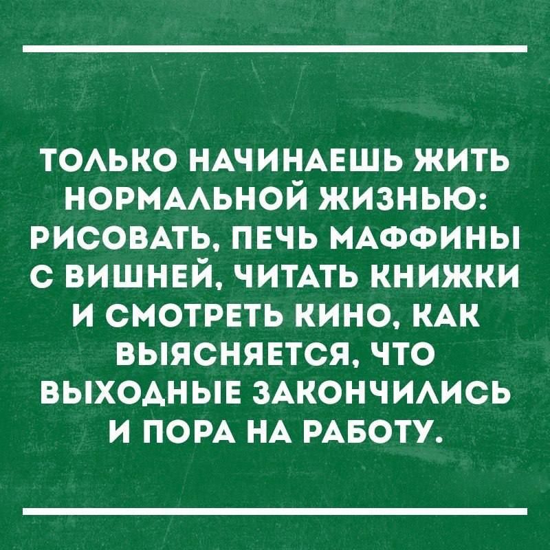 ТОАЬКО НАЧИНАЕШЬ ЖИТЬ НОРНААЬНОЙ ЖИЗНЬЮ РИСОВАТЬ ПЕЧЬ МАФФИНЫ С ВИШНЕЙ ЧИТАТЬ КНИЖКИ И СМОТРЕТЬ КИНО КАК ВЫЯСНЯЕТСЯ ЧТО ВЫХОДНЫЕ ЗАКОНЧИАИСЬ И ПОРА НА РАБОТУ