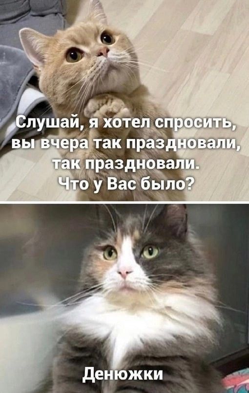 луша яхотещ м и р так праё