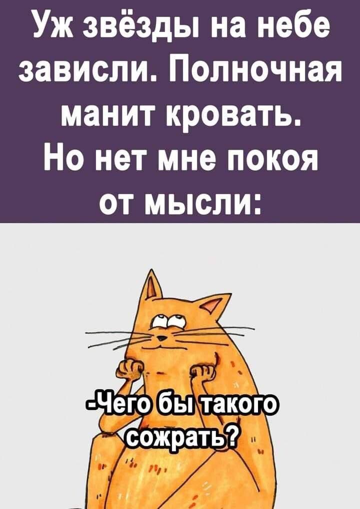 Уж звёзды на небе зависли Полночная манит кровать Но нет мне покоя ОТ МЫСЛИ