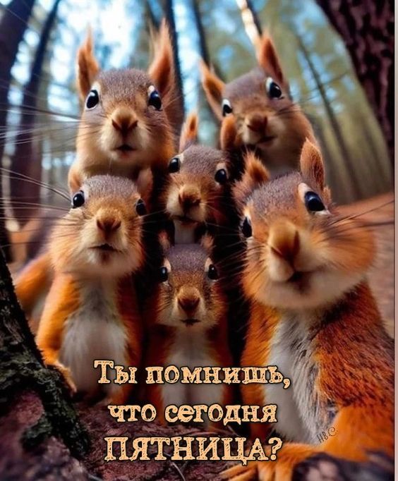 і Й ЧИН