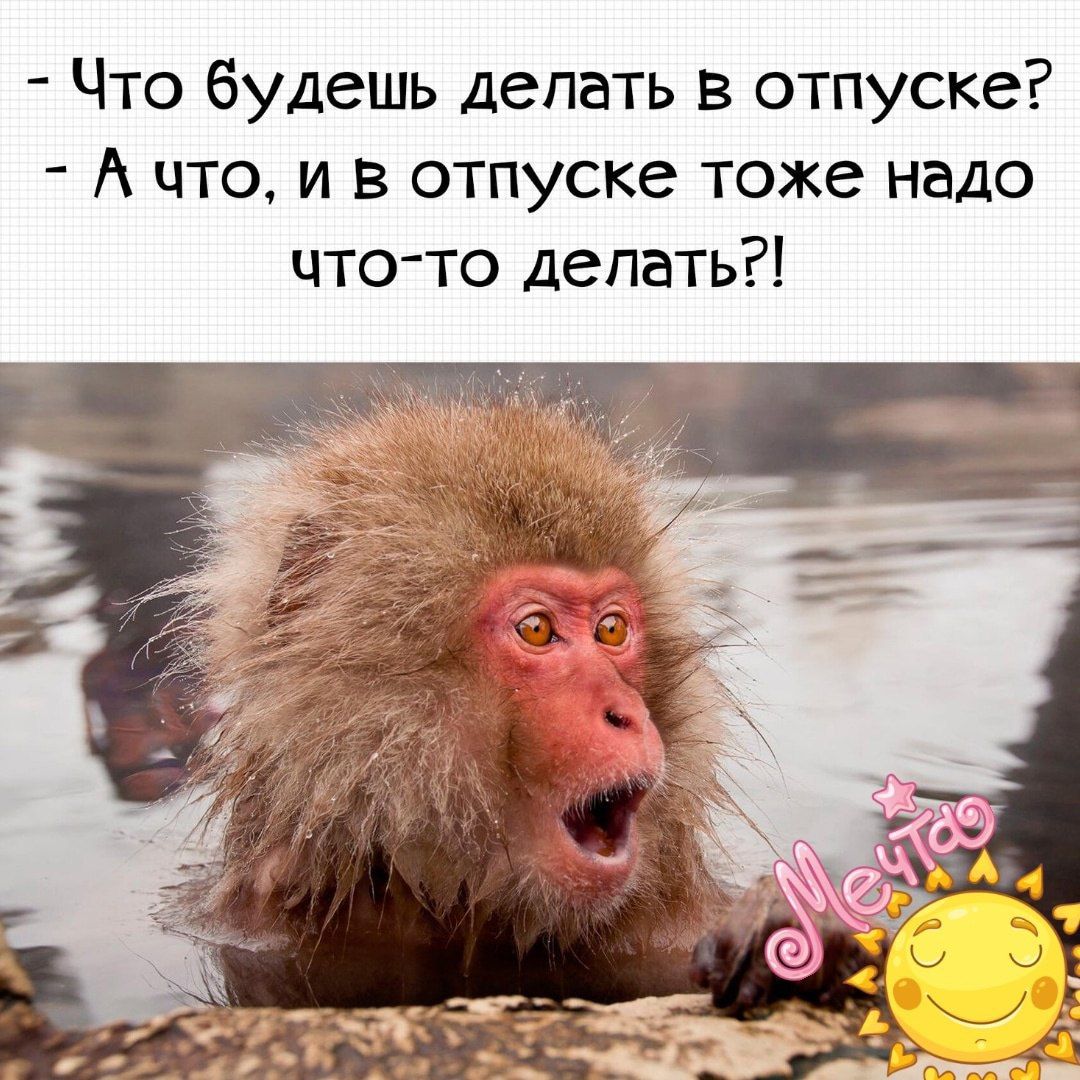 Что будешь делать в отпуске А что и в отпуске тоже надо что то делать