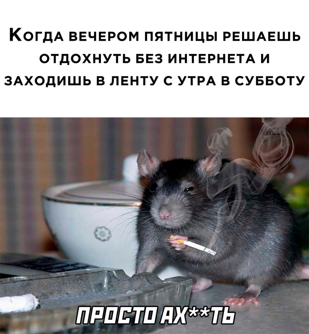 КОГДА ВЕЧЕРОМ ПЯТНИЦЫ РЕШАЕШЬ ОТДОХНУТЬ БЕЗ ИНТЕРНЕТА И ЗАХОдИШЬ В ЛЕНТУ С УТРА В СУББОТУ Ёж ПРПЕТП дХТЬ