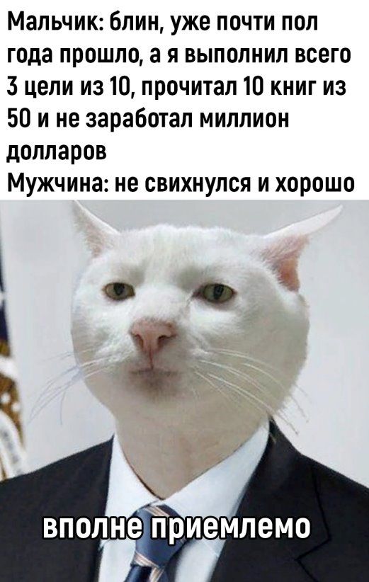 Мальчик блин уже почти пол года прошло а я выполнил всего 3 цели из 10 прочитал 10 книг из 50 и не заработал миллион долларов Мужчина не свихнулся и хорошо ВПОЛНЕ приемлемо
