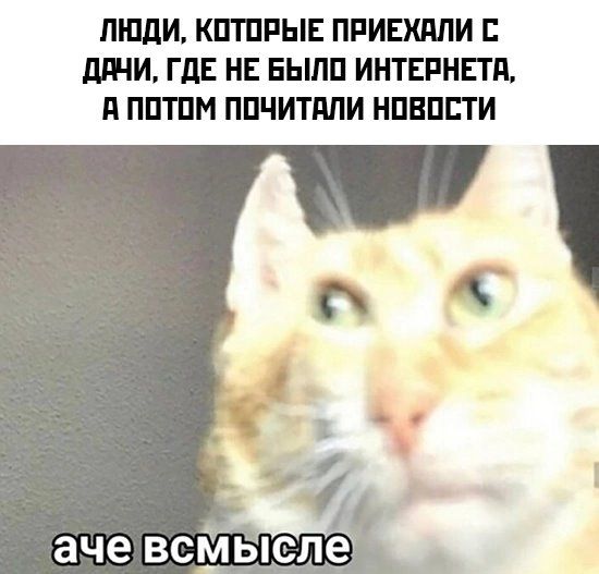 ЛЮДИ КПТПРЫЕ ПРИЕХПЛИ ШНИ ГдЕ НЕ ЕЬШП ИНТЕРНЕТЕ П ППТПМ ППЧИТЯПИ НПВПБТИ аче всйыслё