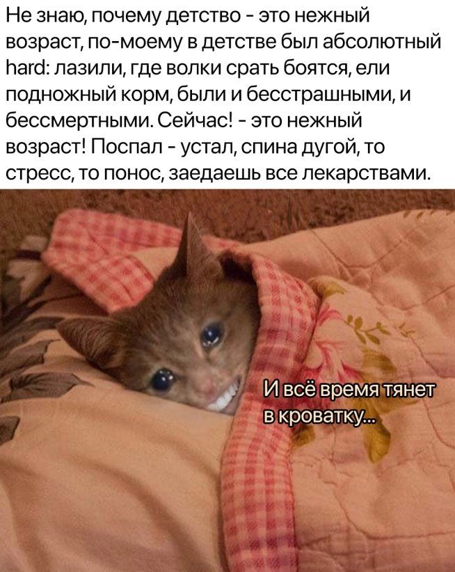 Не знаю почему детство это нежный возраст помоему в детстве был абсолютный Паго пазипи где волки срать боятся ели подножный корм были и бесстрашными и бессмертными Сейчас это нежный возраст Поспап устал спина дугой то стресс то понос заедаешь все лекарствами И все время тянет в кроватку