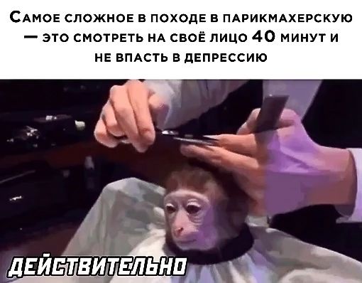 САМОЕ сложное н походЕ в ПАРИКМАХЕРСКУЮ это смотреть нА своё лицо 40 минут и не ВЛАСТЬ Вдвпрвссию
