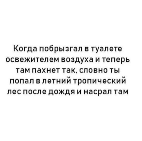 Когда побрызгал в туалете освежителем воздуха и теперь там пахнет так словно ты попал в летний тропический лес после дождя и насрал там