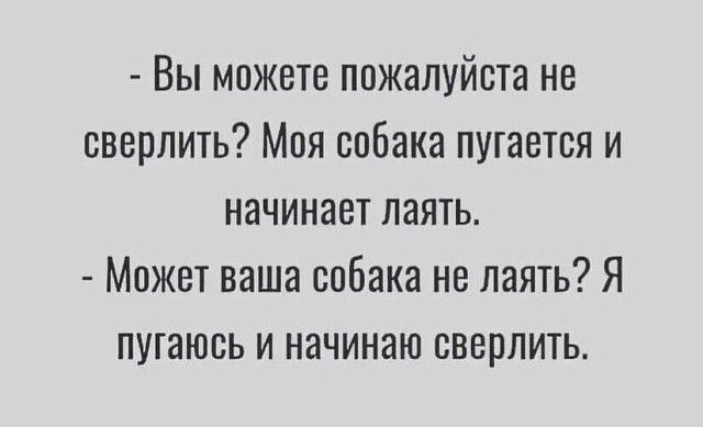 Вы можете пожалуйста не сверлить Моя собака путется и начинает лаять Может ваша собака не лаять Я пугаюсь и начинаю сверлить