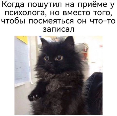 Когда пошутил на приёме у психолога но вместо того чтобы посмеяться он чтото записал