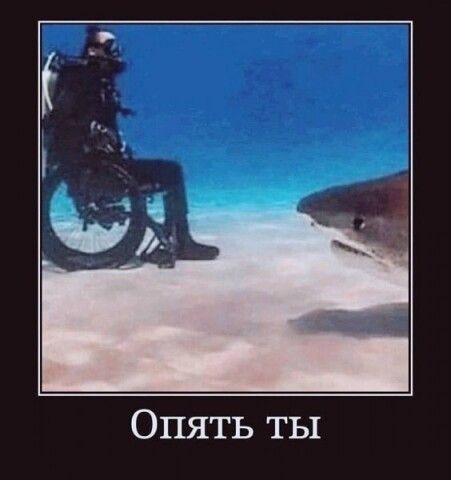 Опять ты