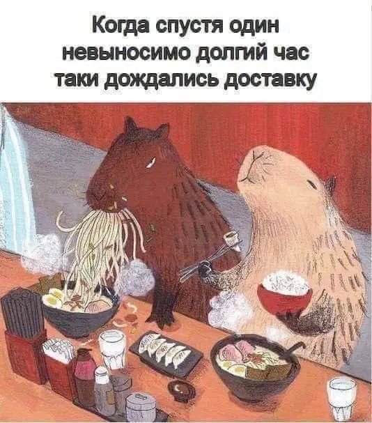 Кота спустя Один невыносимо долгий час таки доящались доставку