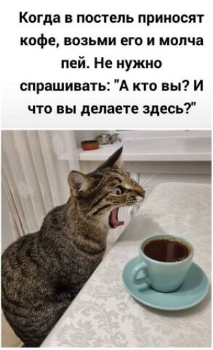 Когда в постель приносят кофе возьми его и молча пей Не нужно спрашивать А кто вы И что вы делаете здесь