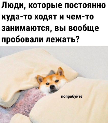 Люди которые постоянно куда то ходят и чем то занимаются вы вообще пробовали лежать на попробуйте