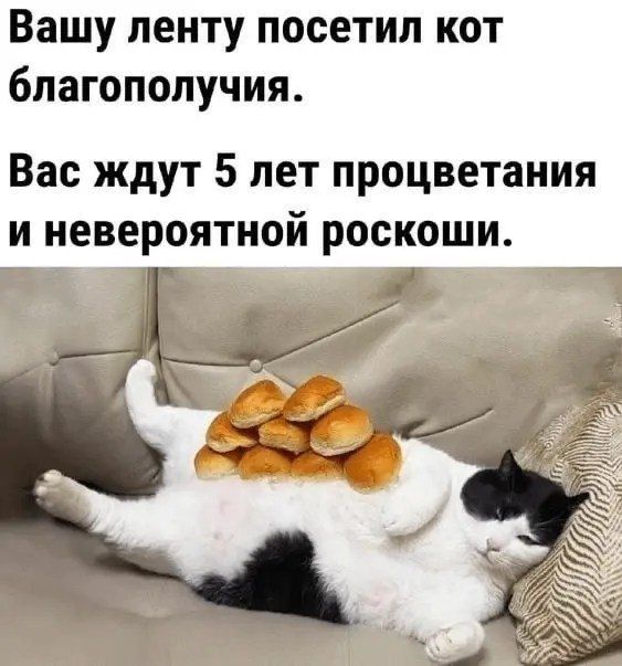 Вашу пенту посетил кот благополучия Вас ждут 5 лет процветания и невероятной роскоши