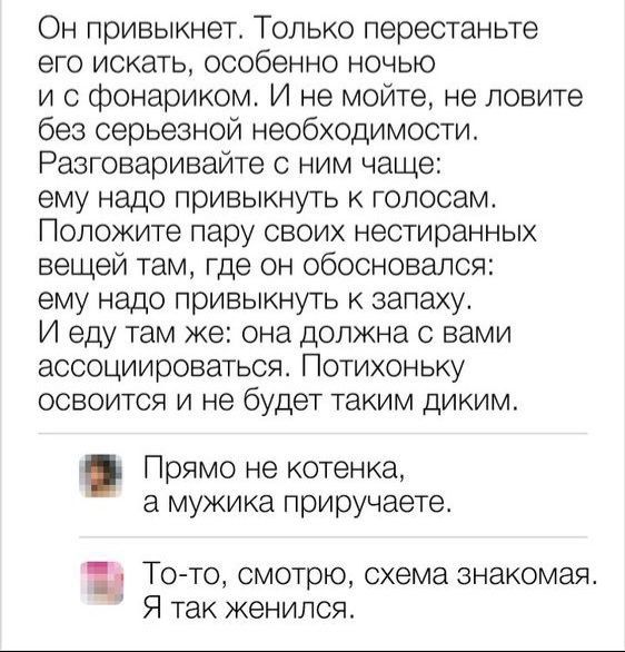 Он привыкнет Только перестаньте его ИСКЗТЬ особенно НОЧЬЮ и с фонариком И не мойте не ловите без серьезной необходимости Разговаривайте с ним чаще ему надо привыкнуть к голосам Положите пару своих нестиранных вещей там где он обосновался ему надо привыкнуть к запаху И еду там же она должна с вами ассоциироваться Потихоньку ОСВОИТСЯ И не будет таким ДИКИМ Прямо не котенка а МУЖИКЭ приручаете То то 