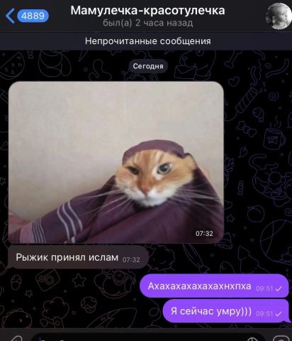 Мамупечка красотупечка Непрочитанные сопбщвиия сетям Рыжик принял ислам Мидииихними на 5 и и и и т п_