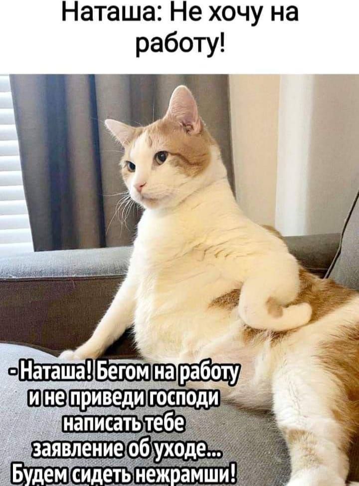 Наташа Не хочу на работу