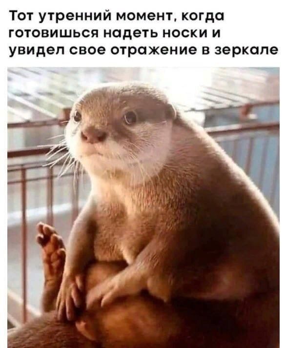 Тот утренний момент когда готовишься надеть носки и увидел свое отражение в зеркале