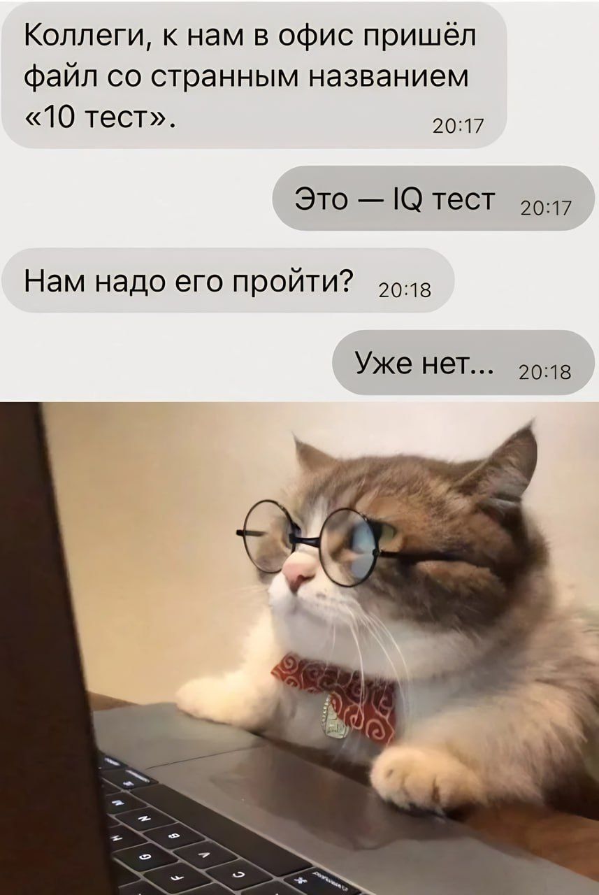 Коллеги к нам в офис пришёл файл со странным названием 10 тест шп Это О тест 2017 Нам надо его пройти Уже нет