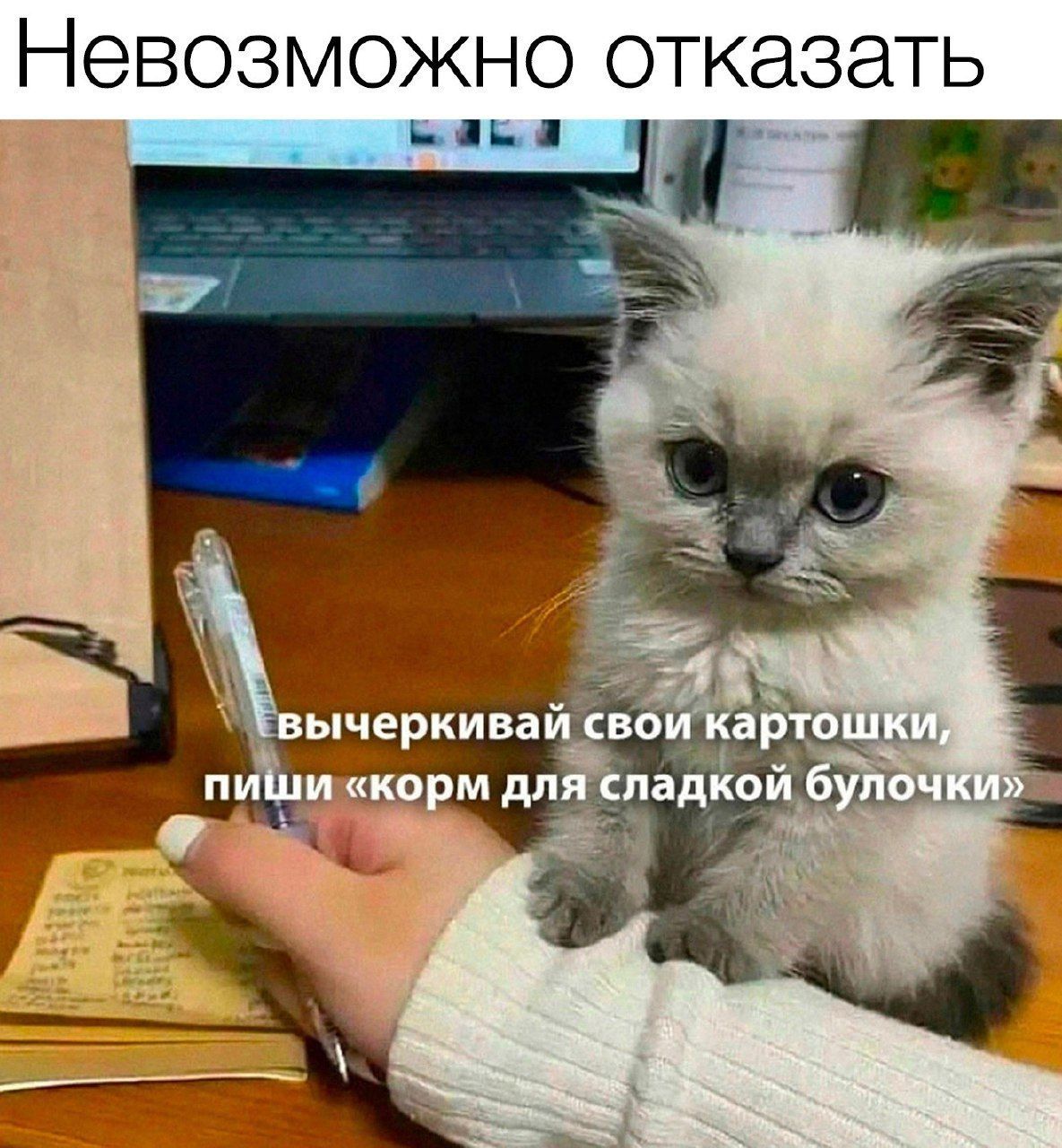 НЕВОЗМОЖНО ОТКЭЗЭТЬ ББ я