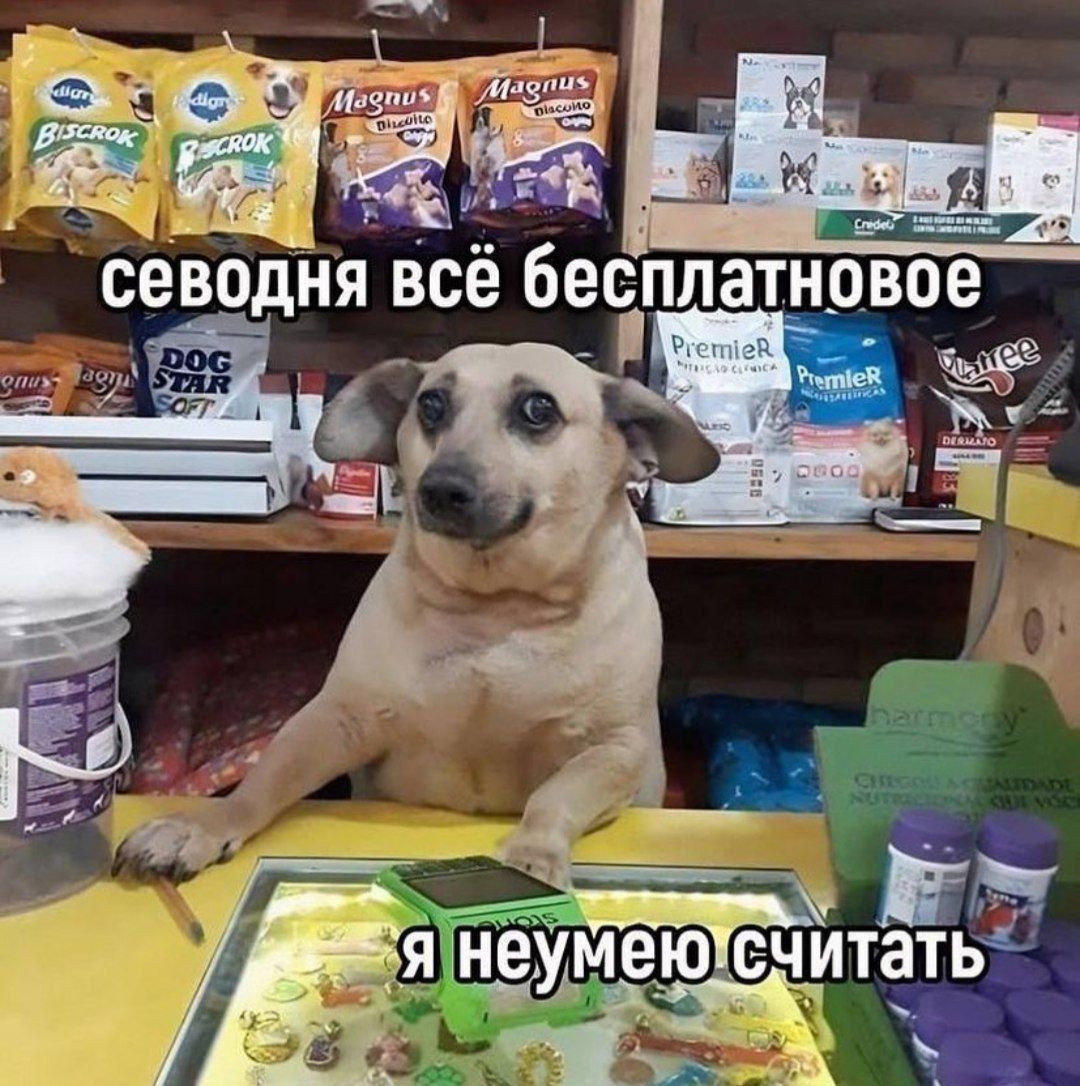 севодня все бесплатновое