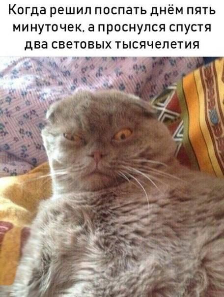 Когда решил поспать днём пять минуточек а проснулся спустя два световых тысячелетия