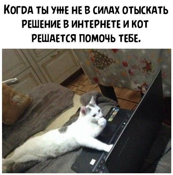 КОГ ОА ТЫ МЕ НЕ В СИМ Х ОТЫСКАТЬ РЕШЕНИЕ В ИНТЕРНЕТЕ И КОТ РЕШАЕТСЯ ПОМОЧЬ ТЕБЕ