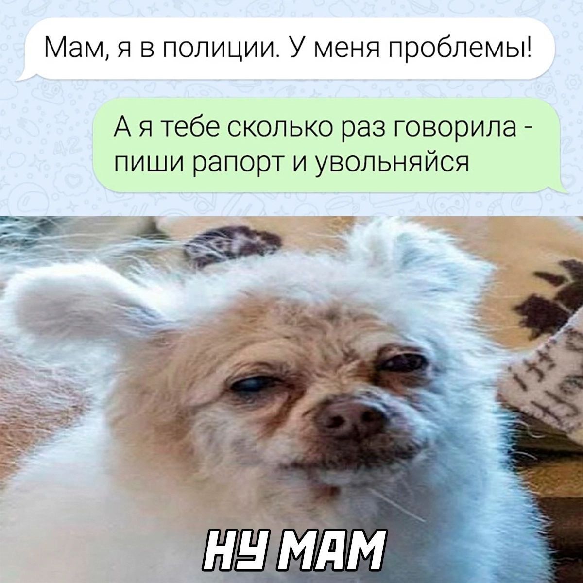 Мам я в полиции У меня проблемы А я тебе сколько раз говорила пиши рапорт и увольняйся