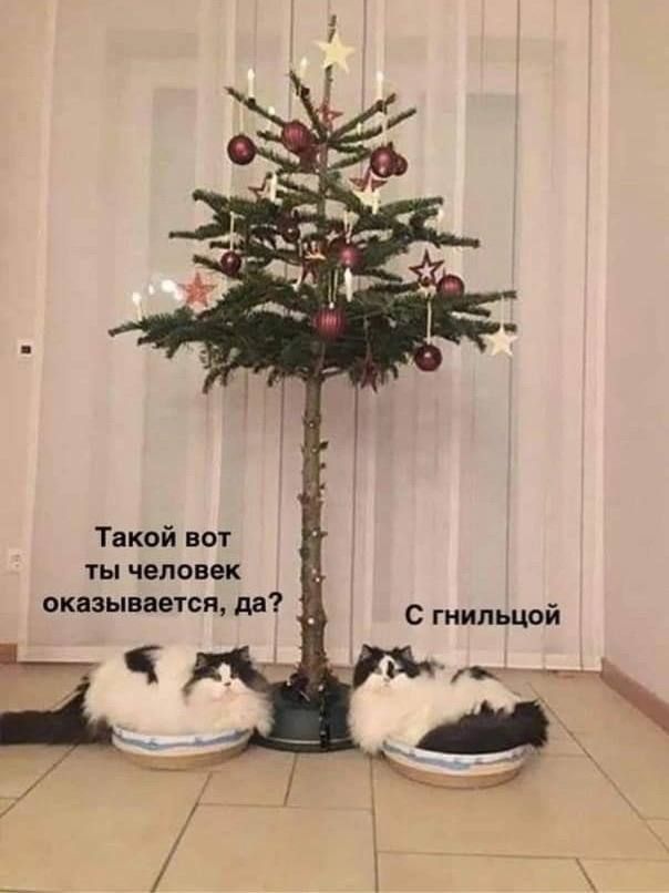 Такой вот ты человек оказывается дв